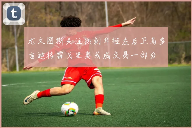 尤文图斯关注热刺年轻左后卫乌多吉迪格雷戈里奥或成交易一部分